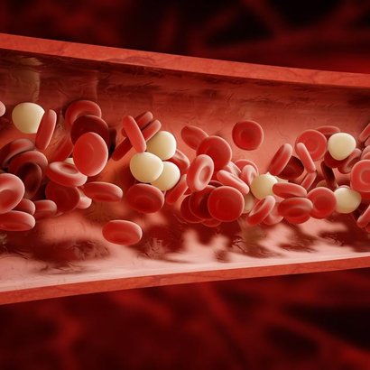 Čistá krev je základ zdraví. Jak jí docílit?