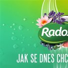 logo radox