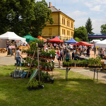 vsechny chute sveta