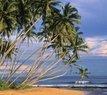 Tropical Beach, Srí Lanka