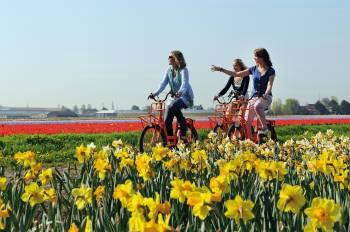 Květinové Holandsko 5