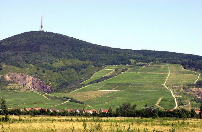 Zemplín